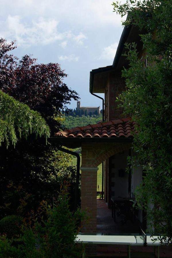 Farm stay Il Colombaiolo *